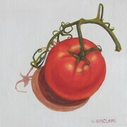 Tomato on the Vine 4