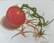Tomatoes on the Vine 5