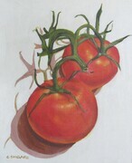 Tomatoes on the Vine 7